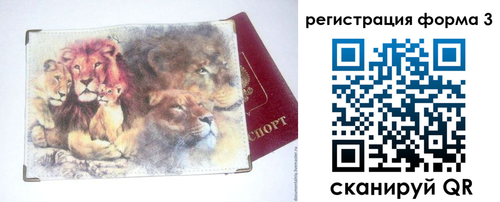 прописка в квартире в Заозёрске